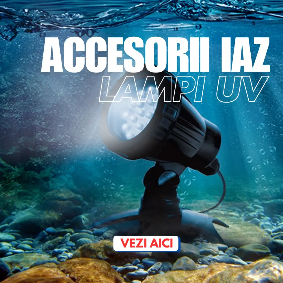 Accesorii Iaz: Lămpi Uv, Skimmere