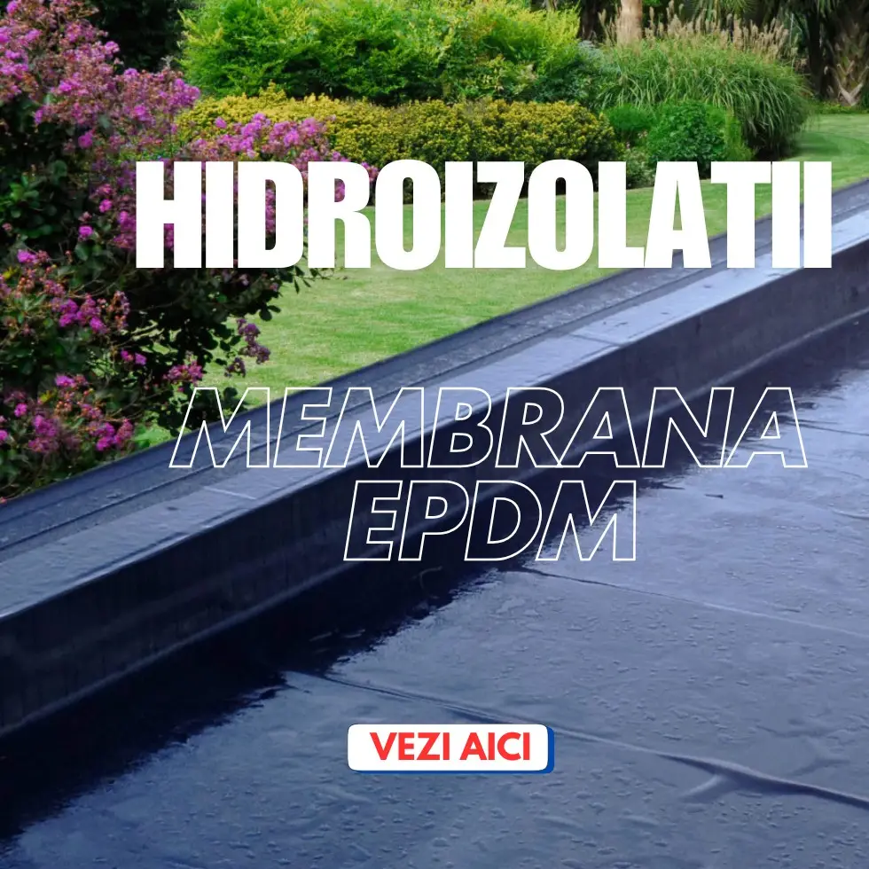 Sisteme profesionale Hidroizolatii iazuri