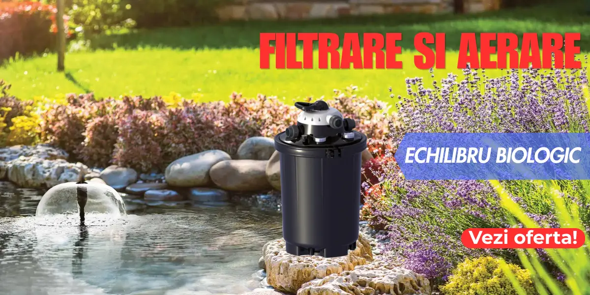 Sisteme Filtrare Iaz