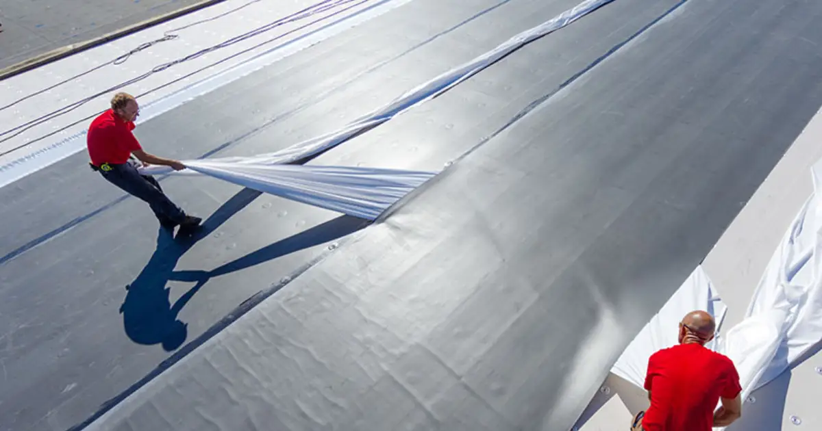 Membrana EPDM: Secretul din spatele unui iaz construit pe viata