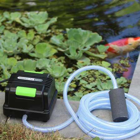 Aerator Silenta Pro 1800 [1]