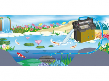 Filtru Bio Set 6000 [4]