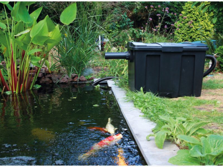 filtru-iaz-giant-biofill-xl-60000.jpg [1]