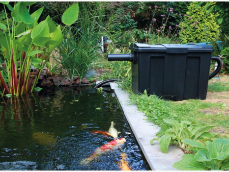 Giant Biofill XL Set 60000 [1]