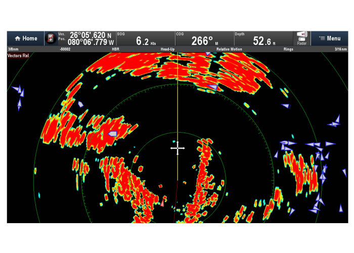 Raymarine Quantum [6]