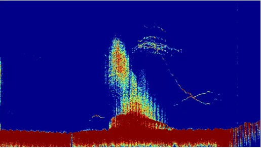 Raymarine sonar extern ClearPulse CHIRP CP570 [2]
