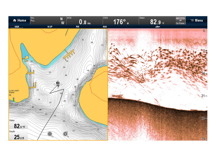 Raymarine sonar extern CHIRP DownVision CP100 [3]