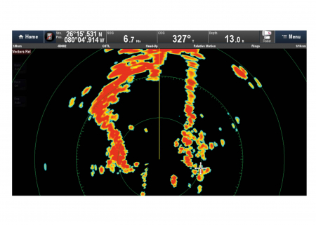 Raymarine Quantum [4]