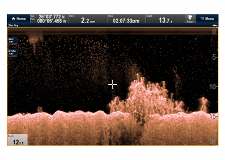 Raymarine sonar extern CHIRP DownVision CP100 [7]