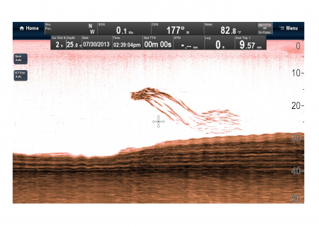 Raymarine sonar extern CHIRP DownVision CP100 [4]