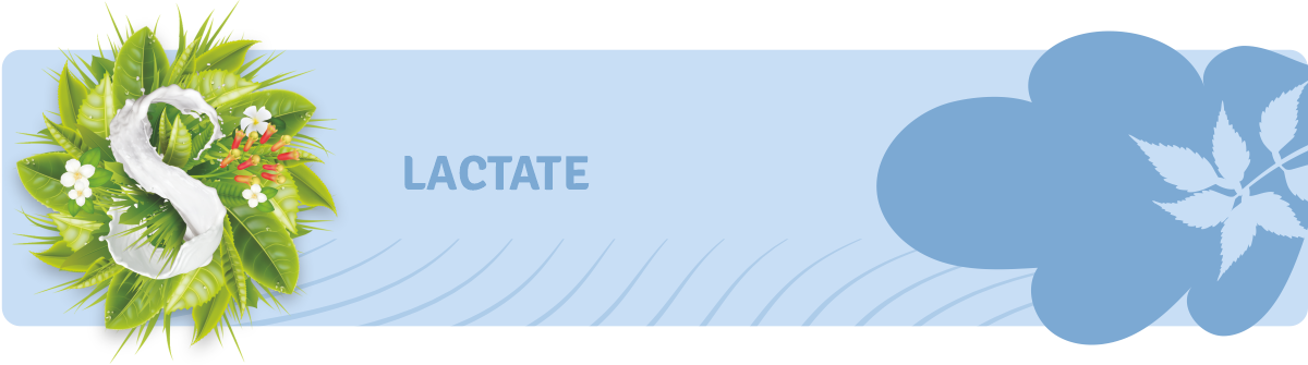 Produse lactate