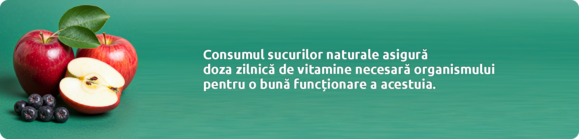 banner sucuri bio