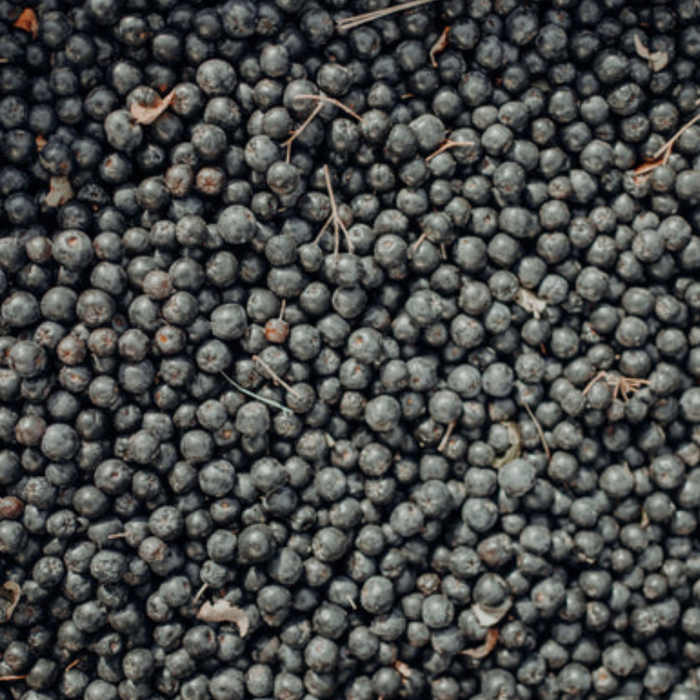 Suc Bio de Aronia [5]
