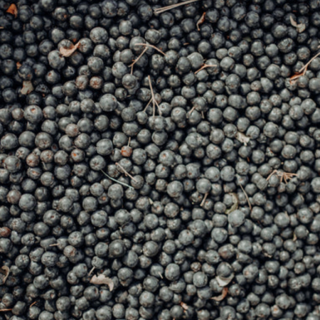 Suc Bio de Aronia [4]