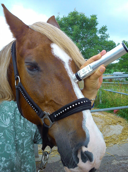 Tratament inovator si pentru animale