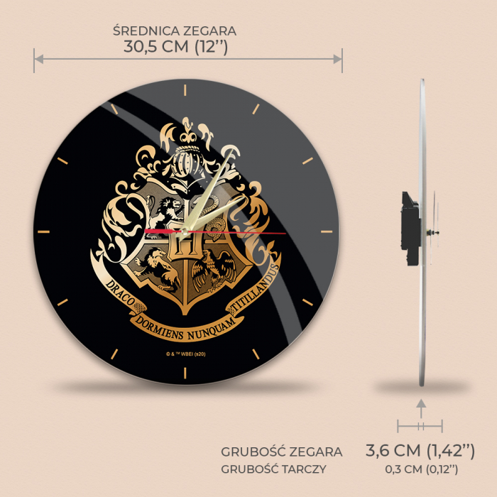 Ceas perete Harry Potter Hogwarts [3]