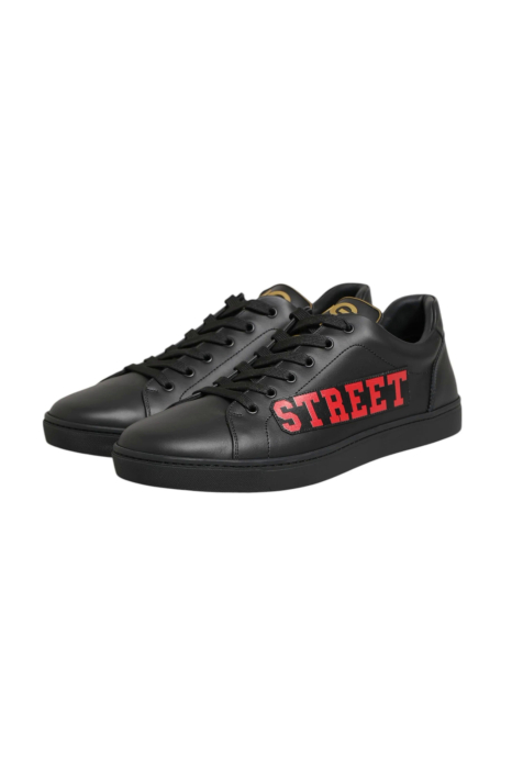 Pantofi sport barbati Dolce & Gabbana Street Life Low Top [3]