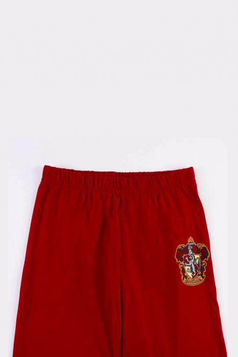 Pijamale copii Harry Potter 2900000128 [6]
