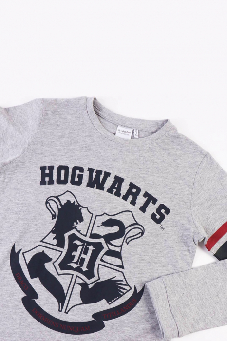 Pijamale copii Harry Potter 2900000205 [5]