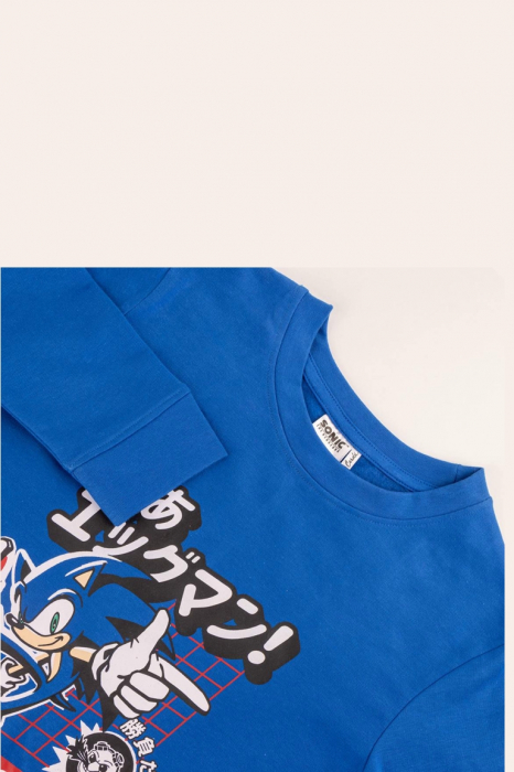 Trening sonic let's rool [3]