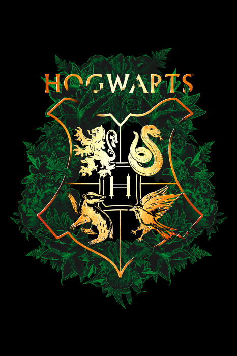 Tricou Barbati Harry Potter Hogwarts [3]