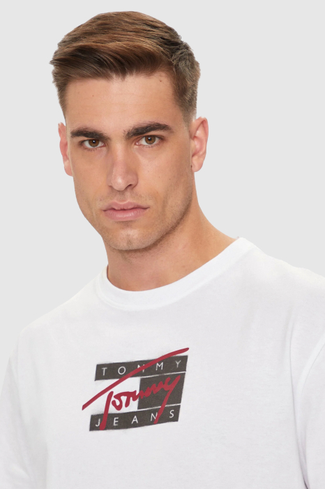 Tricou barbati Tommy Jeans DM0DM18528 [4]
