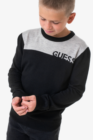 Bluze copii - Bluza pentru baieti Guess L2BR03