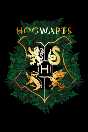 Hanorac Dama Harry Potter Hogwarts [4]