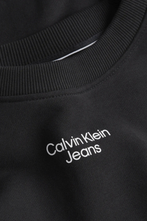 Bluza Calvin Klein Jeans J30J3020044 [3]