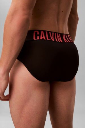 Set of 3 pairs of Calvin Klein men's briefs 000NB3610A [4]