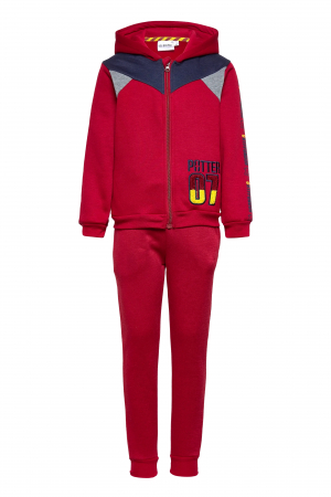 Treninguri lifestyle copii - Trening baieti Harry Potter, model SHU1289