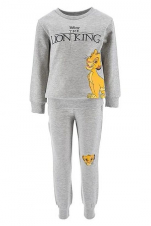 Treninguri lifestyle copii - Trening baieti Lion King