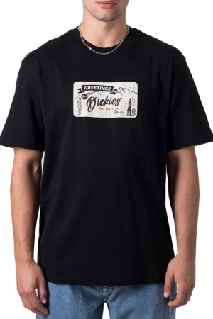 BARBATI - Tricou barbati Dickies D0A4YJZ