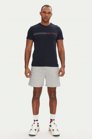 Tricou barbati Tommy Jeans Entry Graphic [2]