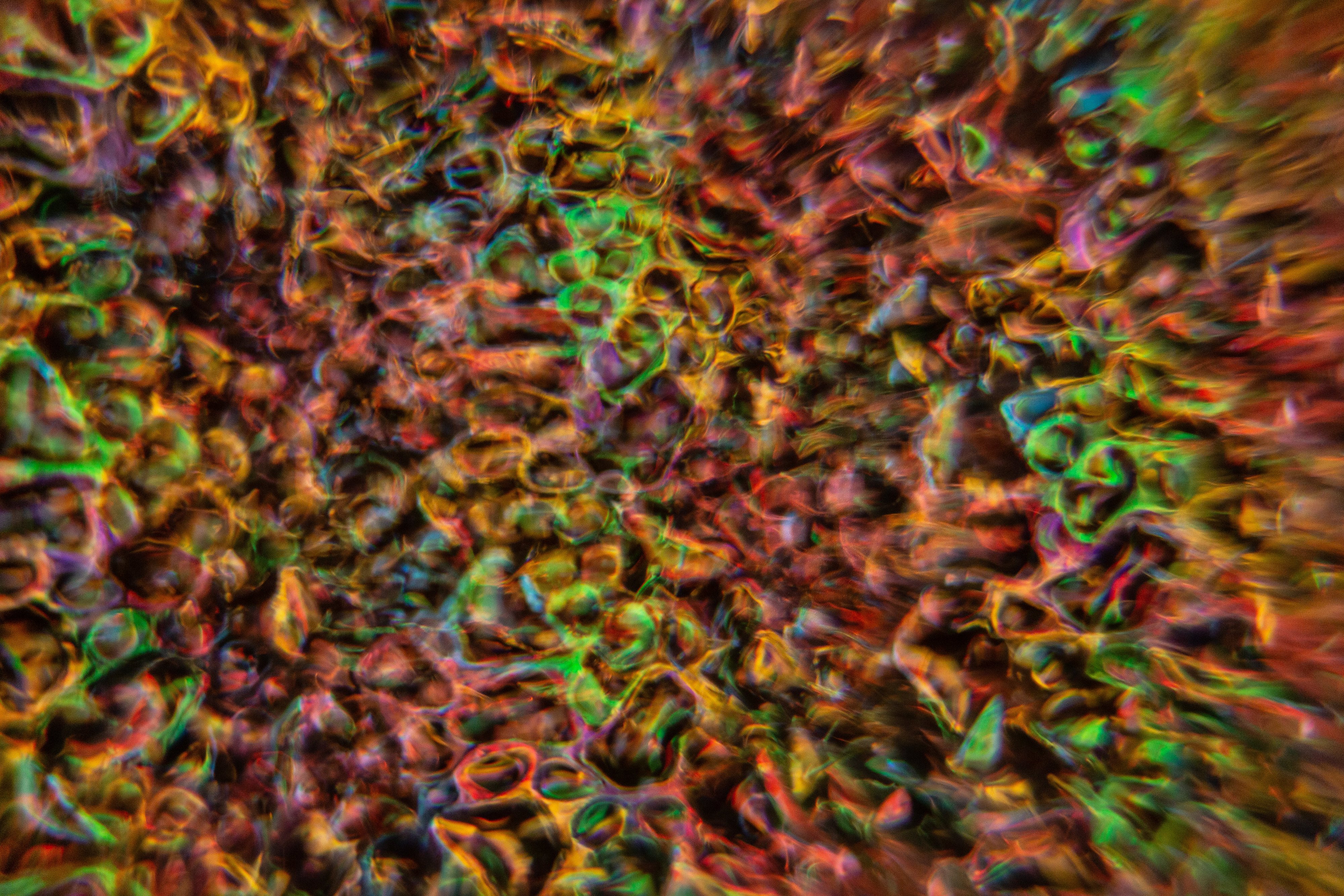 DELUSION [2]