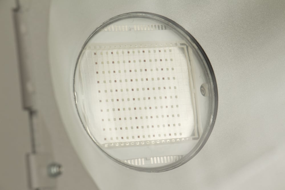 LDP-COBWASH 150TC [2]