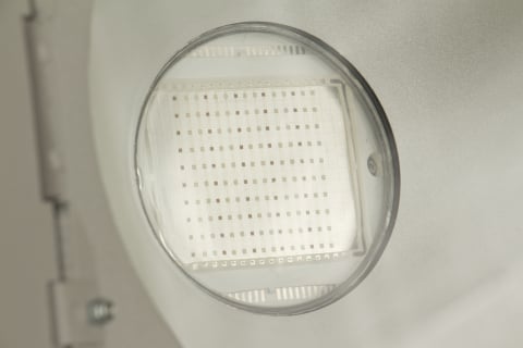 LDP-COBWASH 150TC [1]