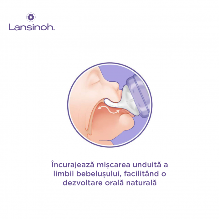 Pachet 3x Biberon Lansinoh - 160 ml. [3]