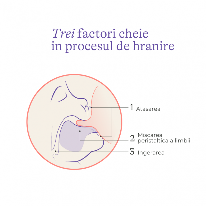 Tetina cu flux foarte lent NaturalWave® XS, Lansinoh x 2 bucati [4]