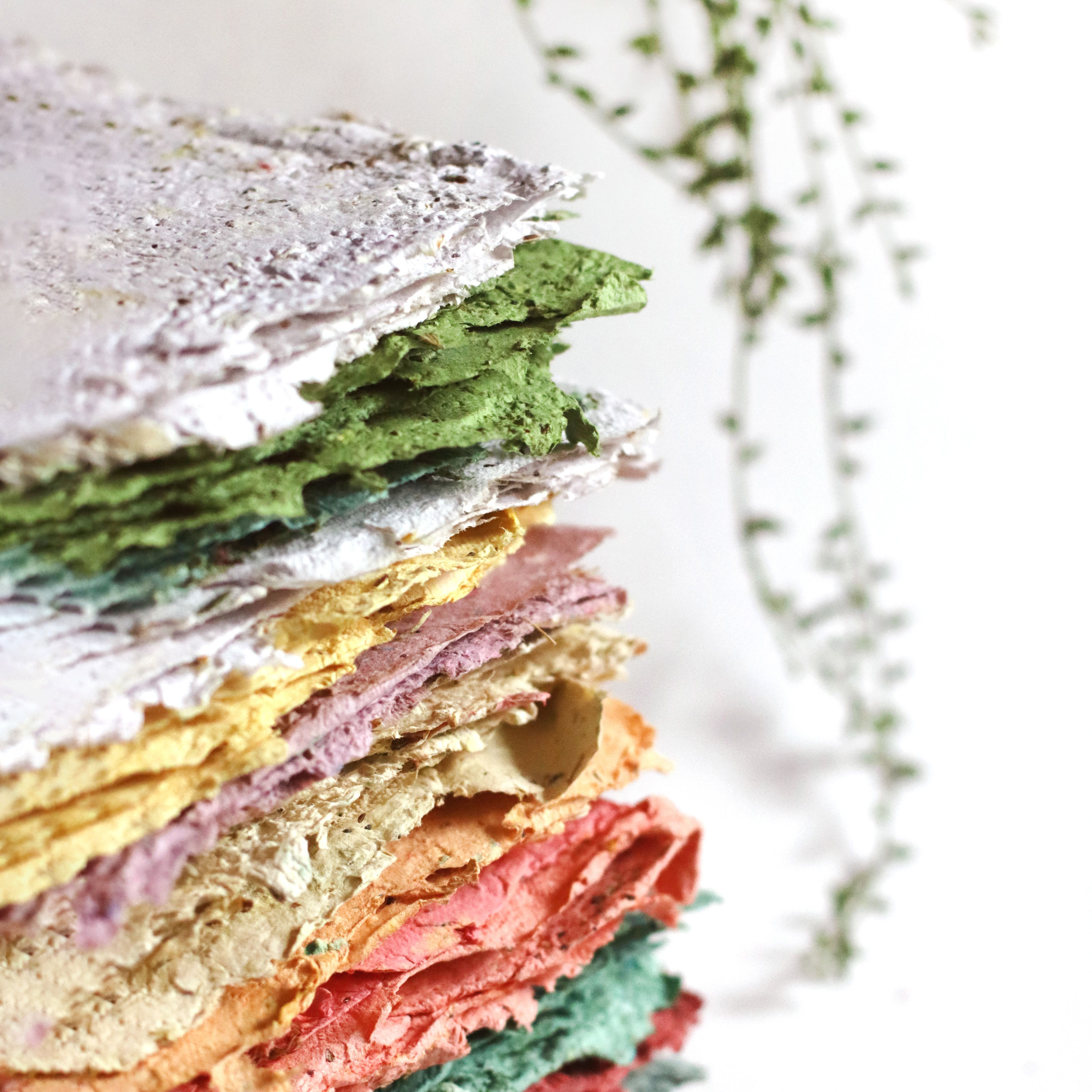 Cum plantezi hârtia plantabilă?