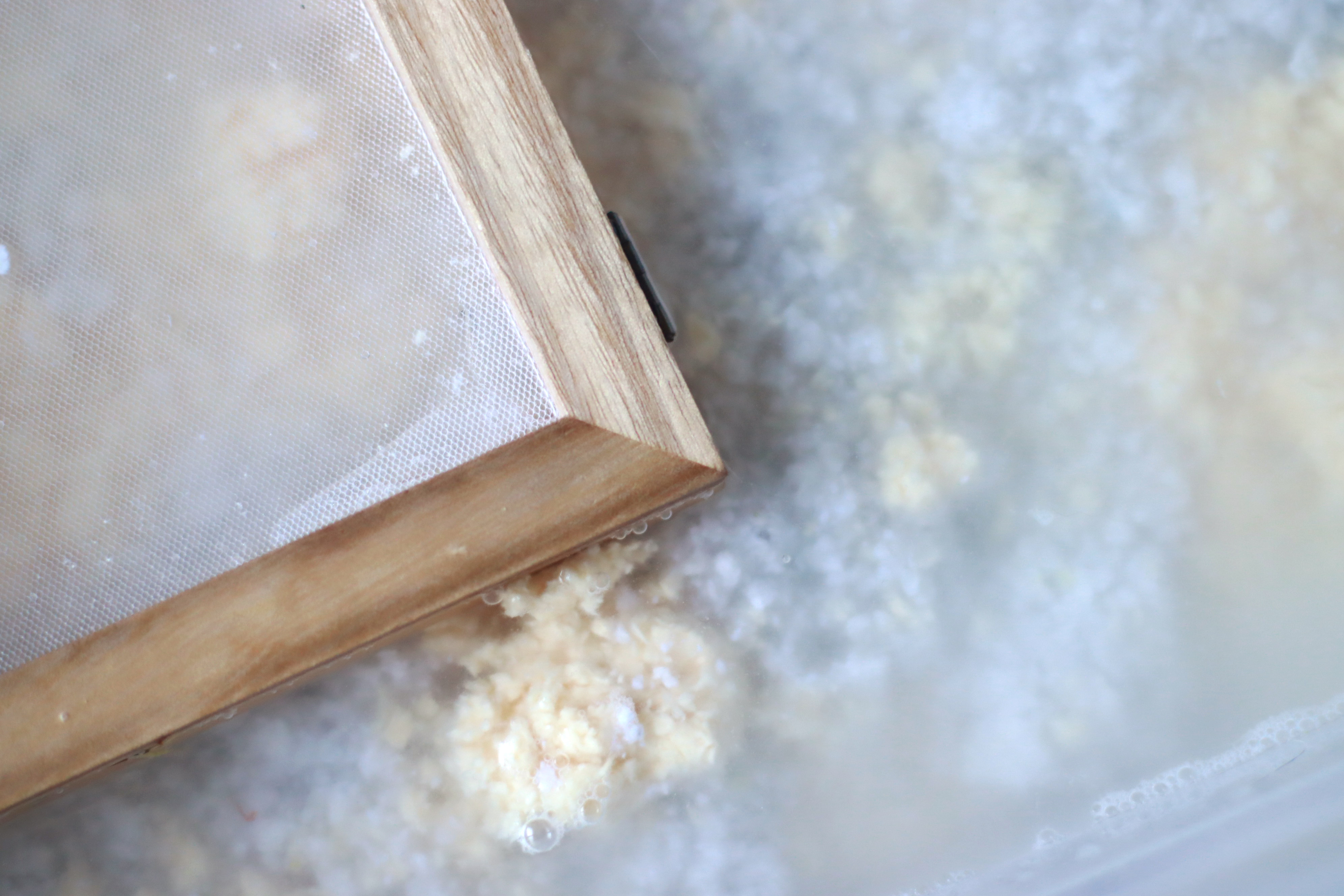 Întoarcerea la natură prin gestionarea creativă a deșeurilor 🌿