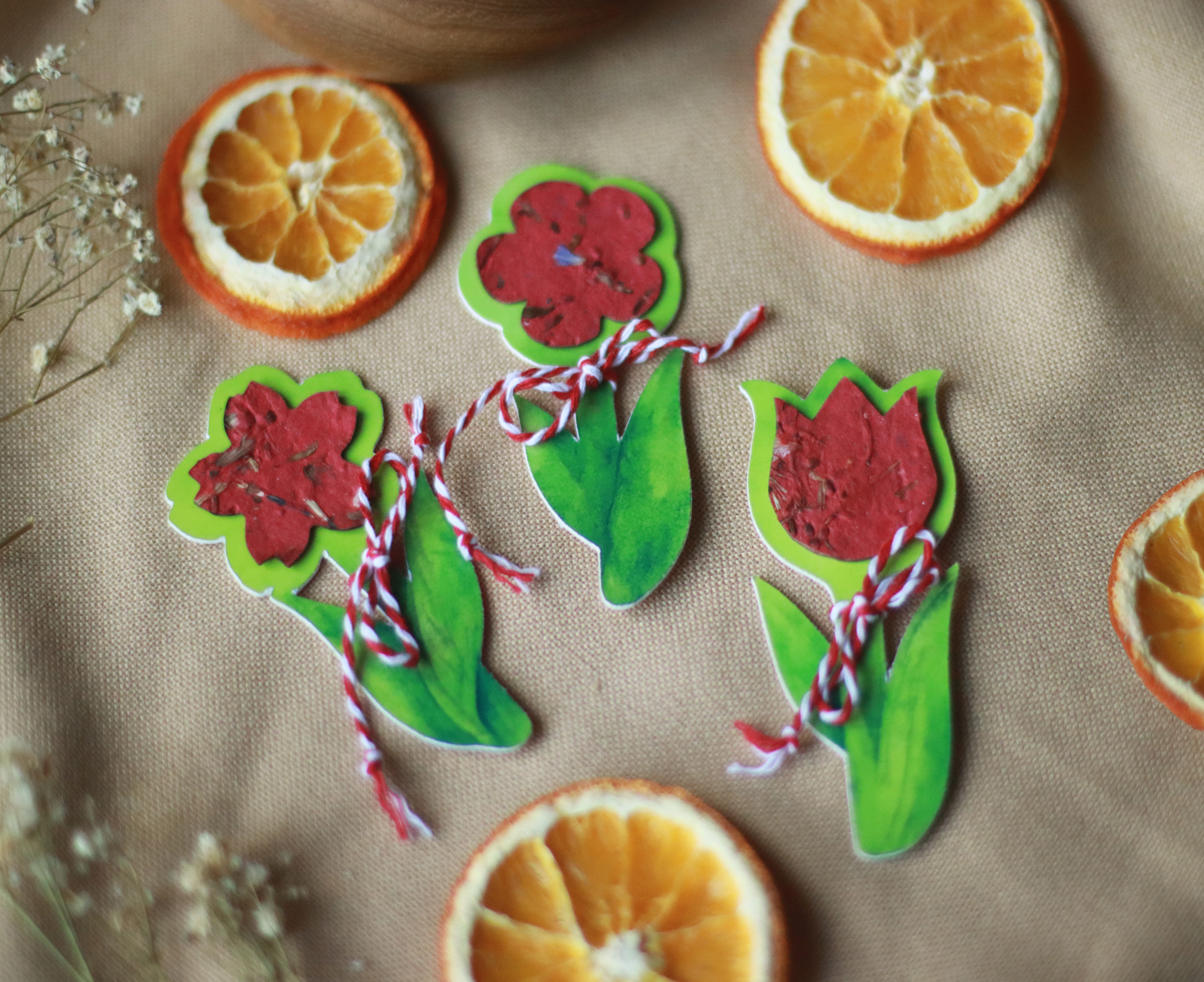 Hârtia plantabilă: reciclare, natură și un impact ecologic real