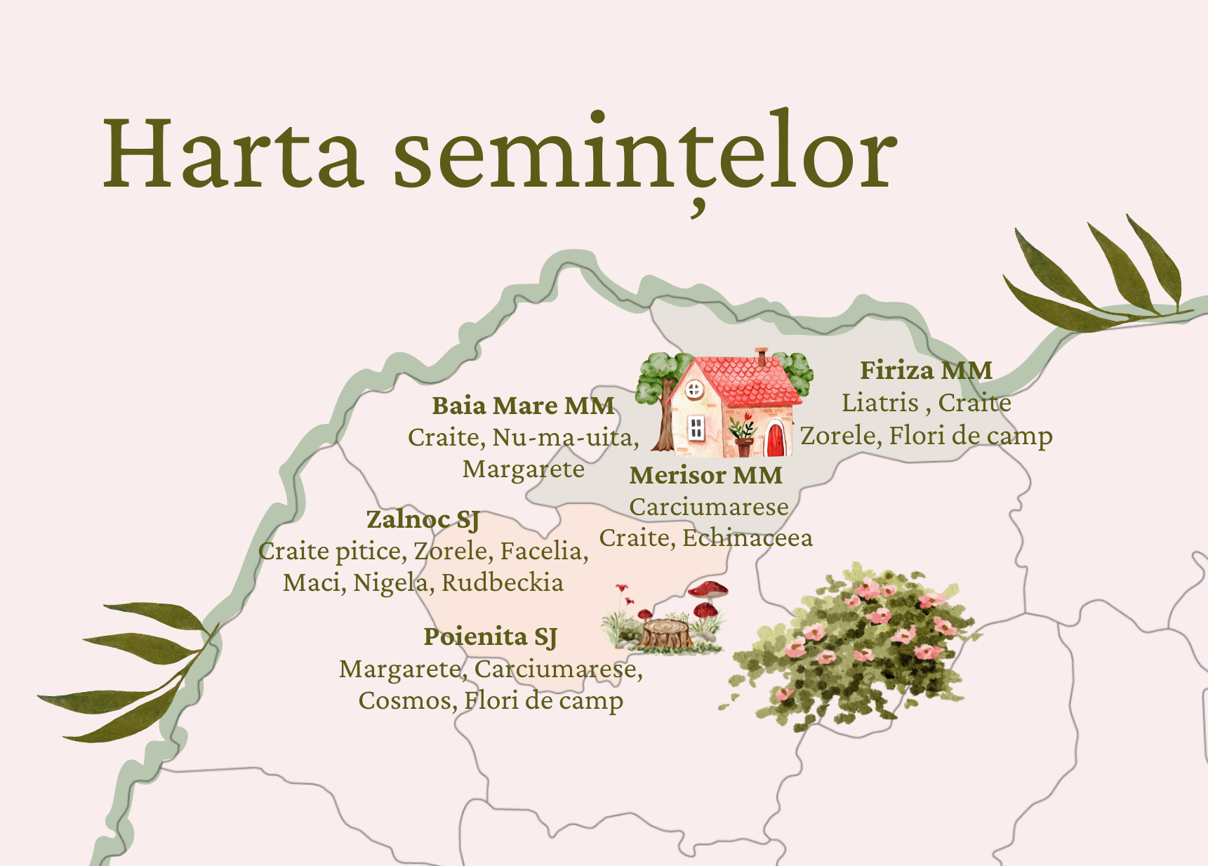 Originea semintelor din hartia plantabila