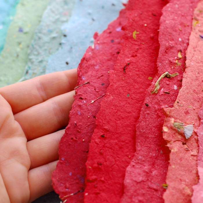 Martisor lalea hartie plantabila cu seminte si petale de flori [5]