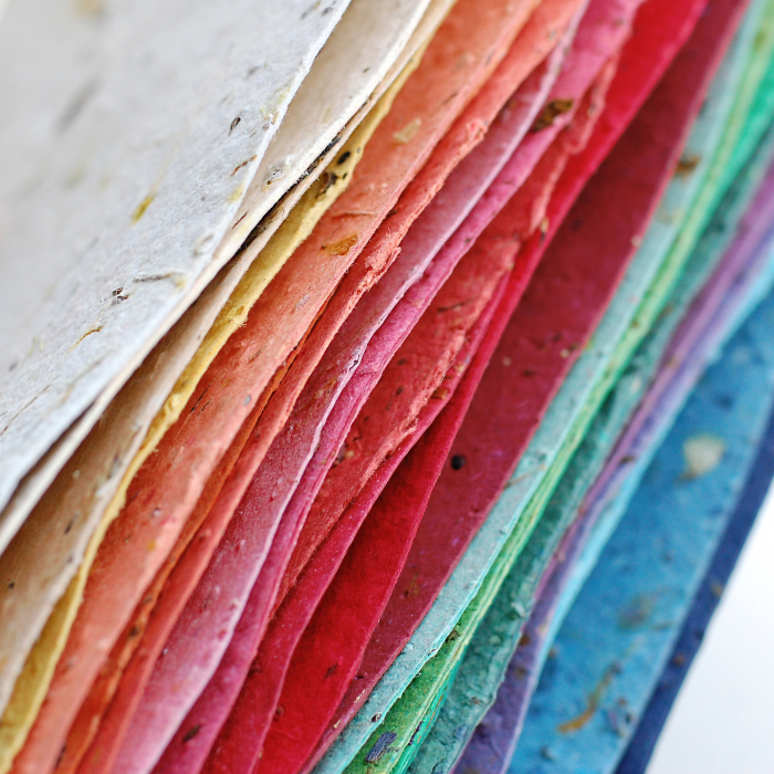 Mărțișor ursuleț din hârtie plantabila cu  insertii de semințe și petale de flori [4]