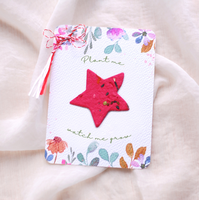 Martisor steluta din hârtie plantabila cu  insertii de semințe și petale de flori [2]