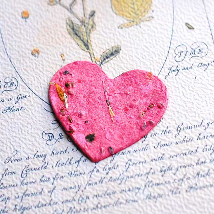 Martisor inima hartie plantabila cu seminte si petale de flori [7]