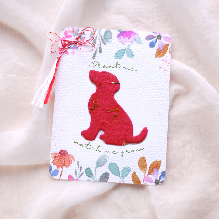 Martisor caine din hârtie plantabila cu  insertii de semințe și petale de flori [2]