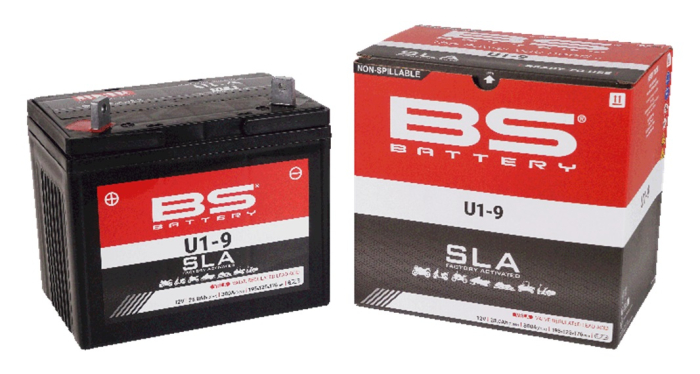 Baterie activata din fabrica BS-BATTERY [3]