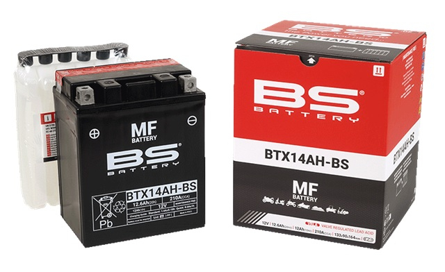 Baterie fara intretinere BS-BATTERY [3]